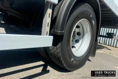 Renault Trucks D
                                          250