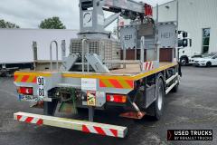 Renault Trucks D
                                          250